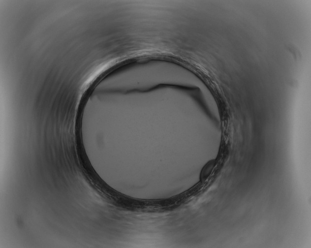 X0000113030196200909241421