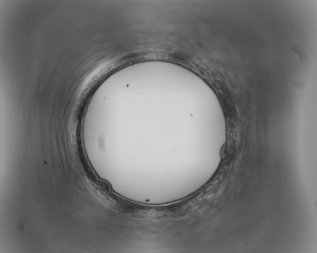 X0000113030197200909241421