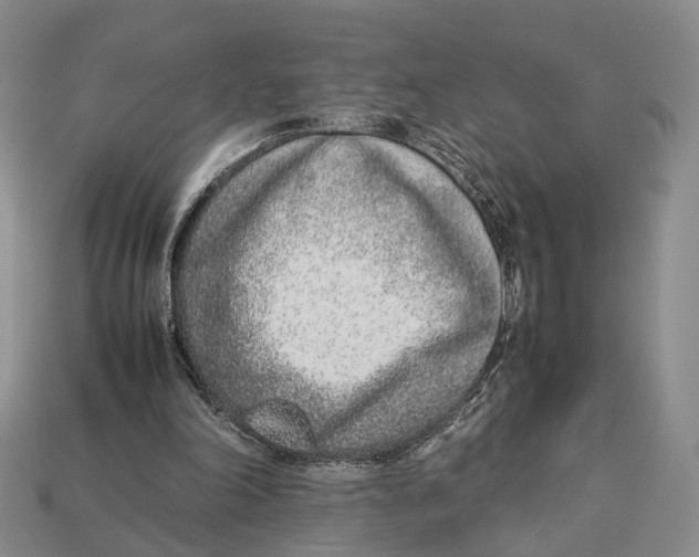 X0000113030198200909241421