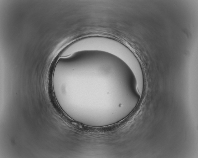 X0000113030199200909241421