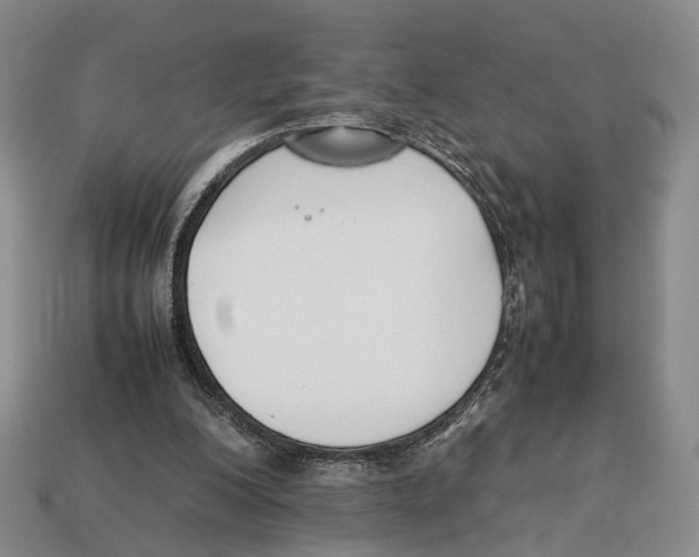 X0000113030200200909241421