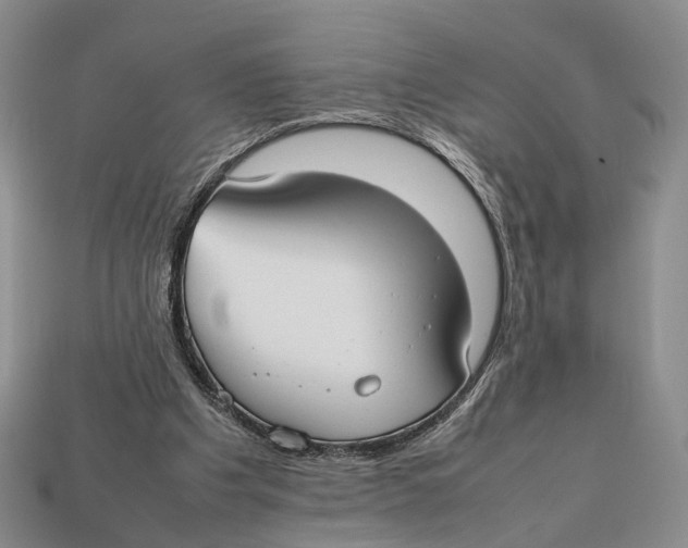 X0000113030201200909241421