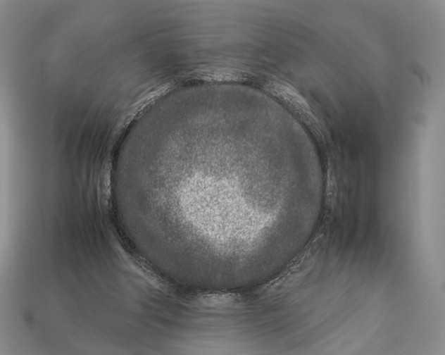 X0000113030202200909241421