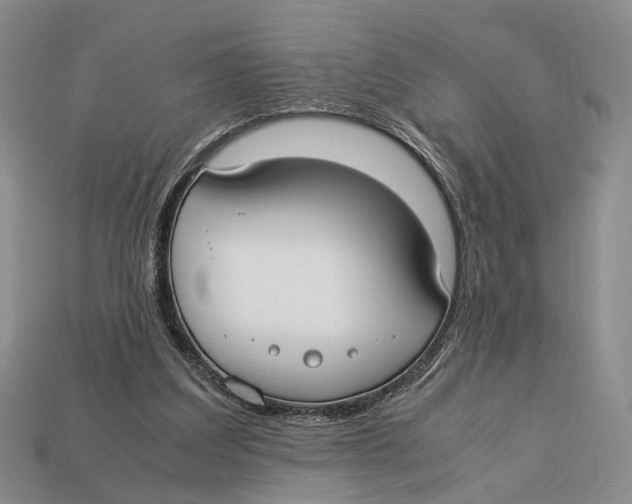 X0000113030203200909241421