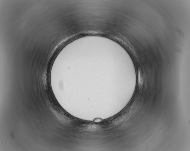 X0000113030204200909241421