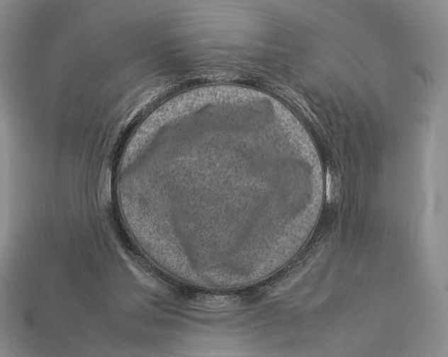 X0000113030205200909241421