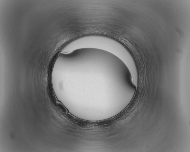 X0000113030207200909241420