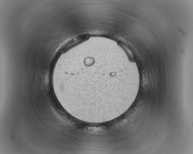 X0000113030208200909241420