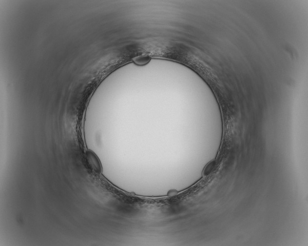 X0000113030209200909241420