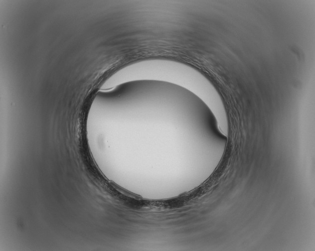 X0000113030211200909241420