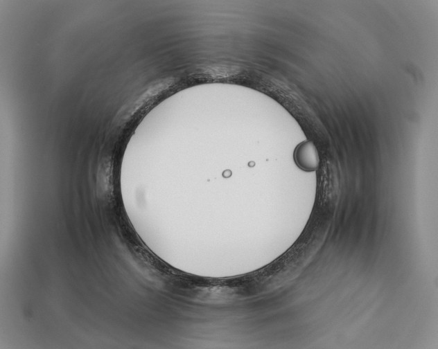 X0000113030212200909241420