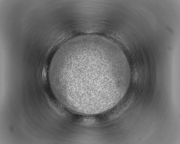 X0000113030214200909241420