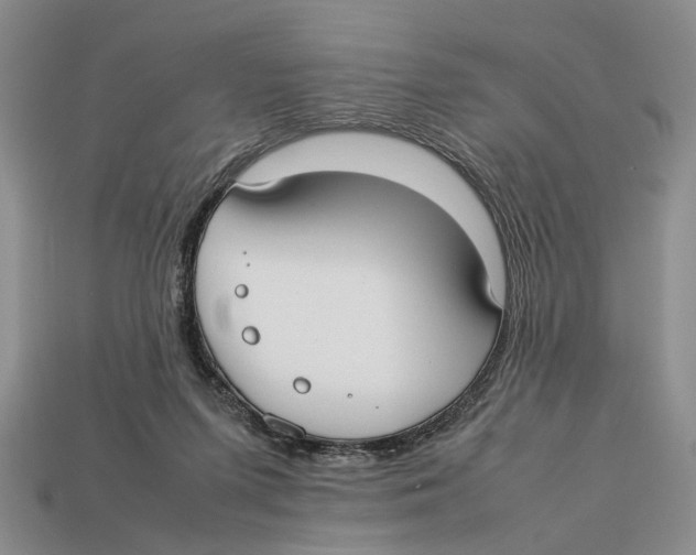 X0000113030215200909241420