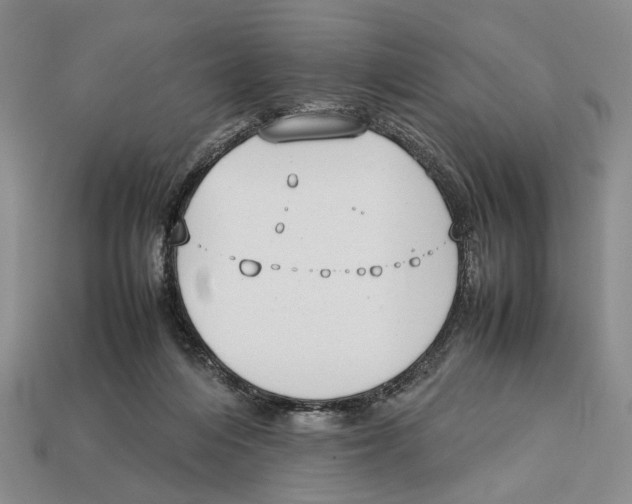 X0000113030216200909241420