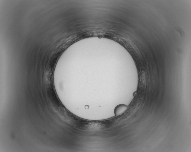 X0000113030218200909241420