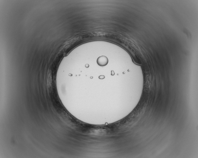 X0000113030220200909241420