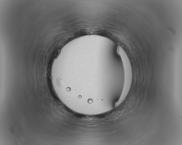 X0000113030221200909241420