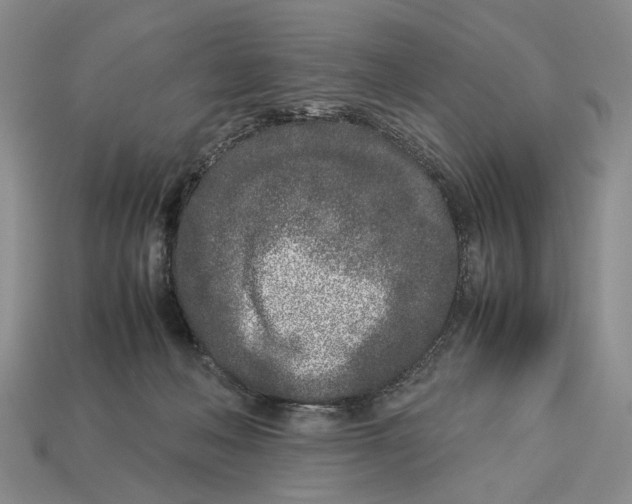 X0000113030222200909241420