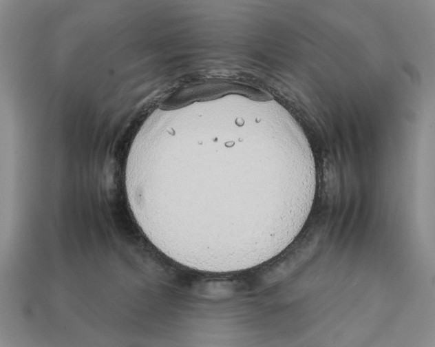 X0000113030228200909241420