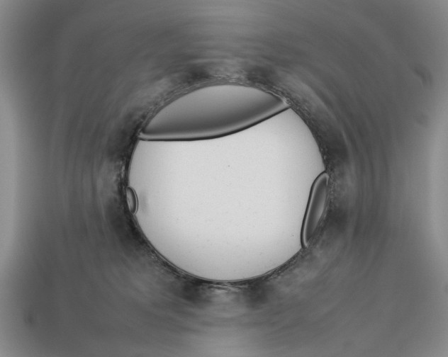 X0000113030229200909241420