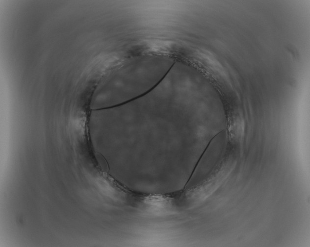 X0000113030231200909241420