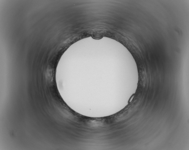 X0000113030232200909241420