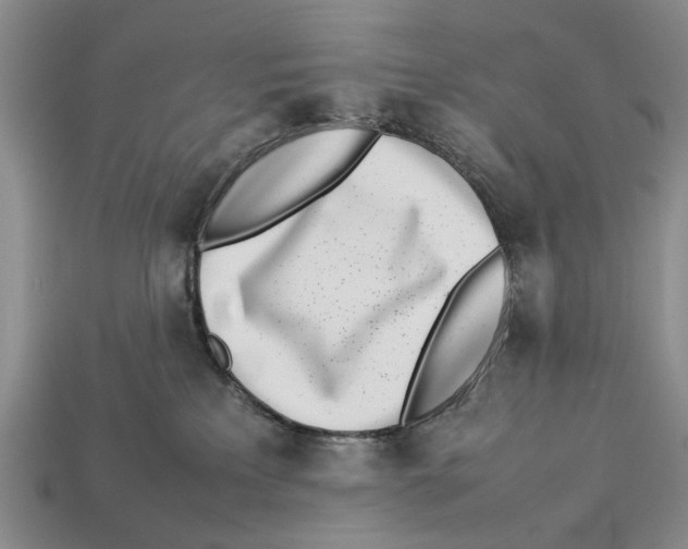 X0000113030233200909241420