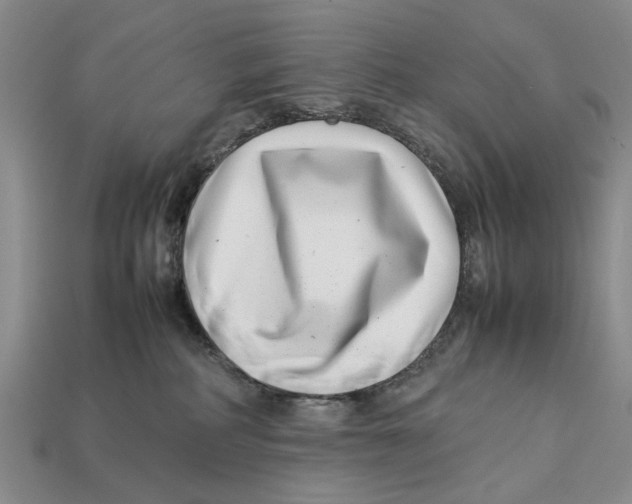 X0000113030234200909241420