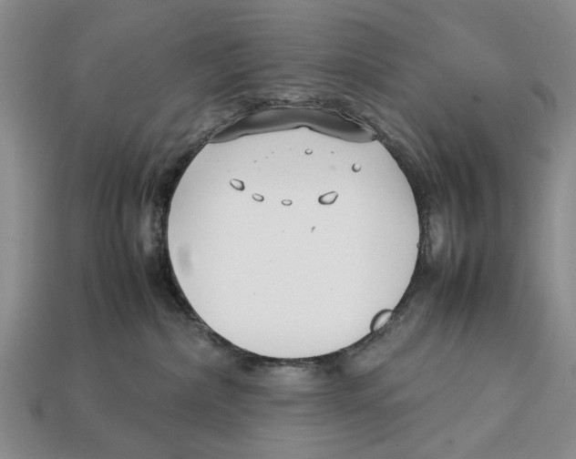 X0000113030236200909241420