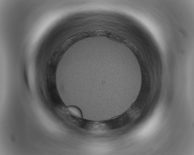 X0000113030239200909241420