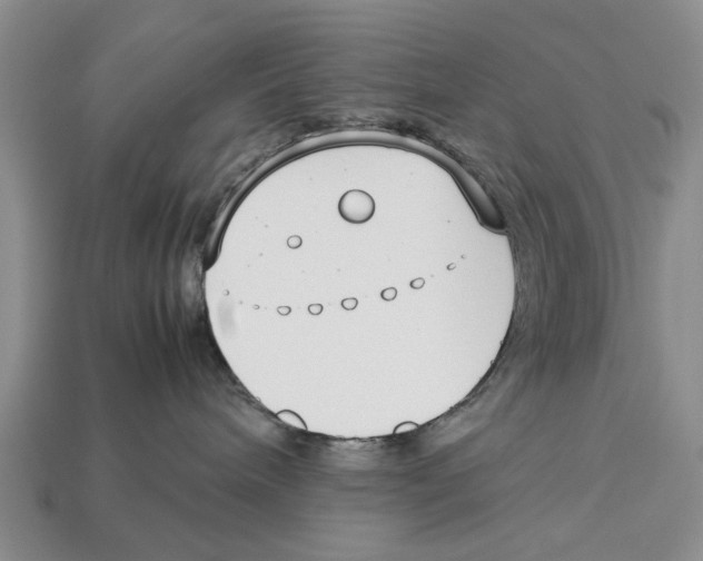 X0000113030240200909241420