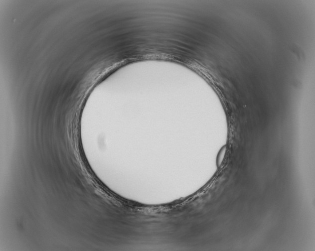 X0000113030241200909241419