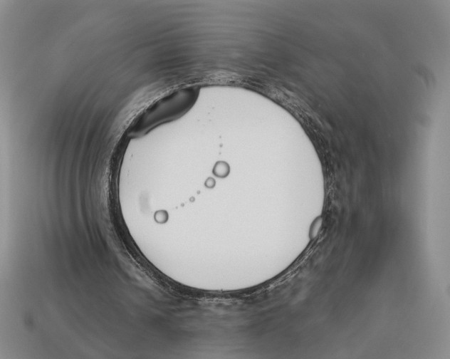 X0000113030242200909241419