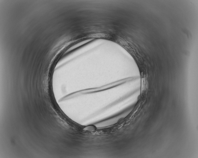 X0000113030243200909241419