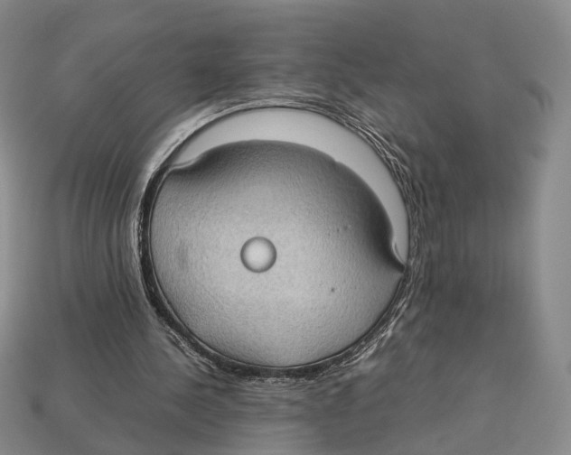 X0000113030244200909241419