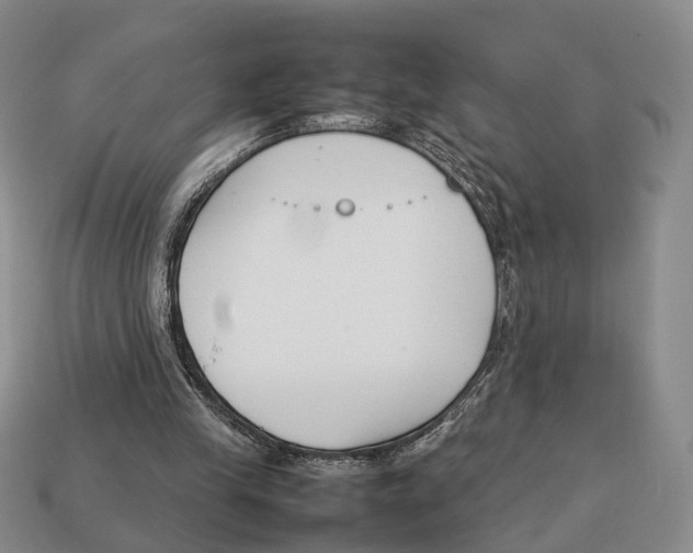 X0000113030245200909241420