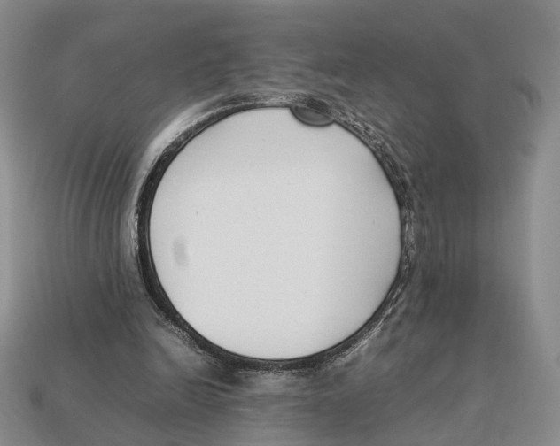 X0000113030246200909241420