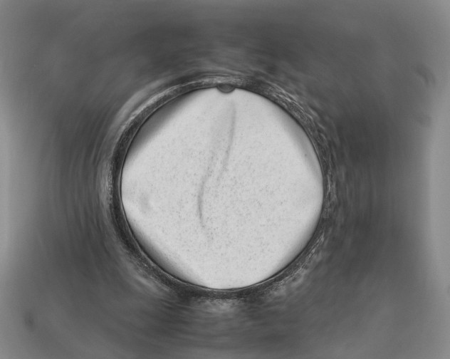 X0000113030247200909241420