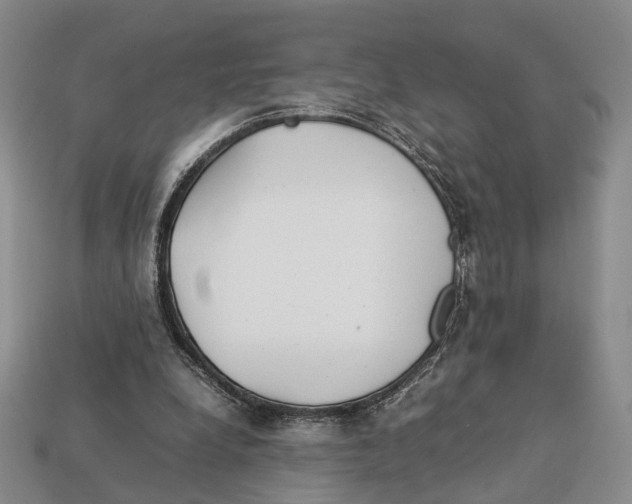 X0000113030248200909241420