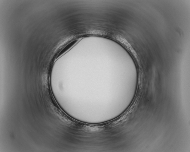 X0000113030249200909241420