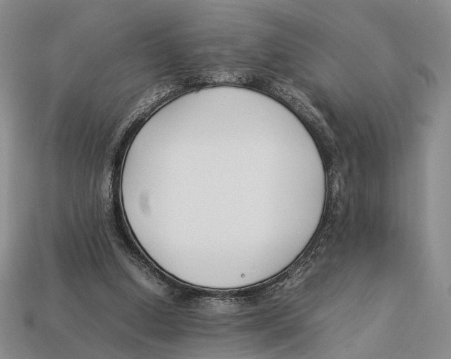 X0000113030250200909241420