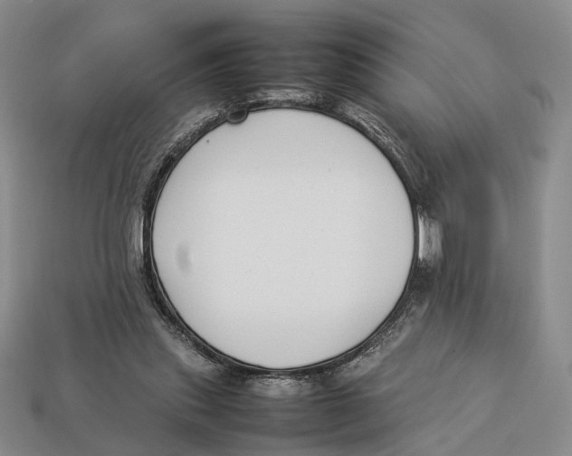 X0000113030253200909241420