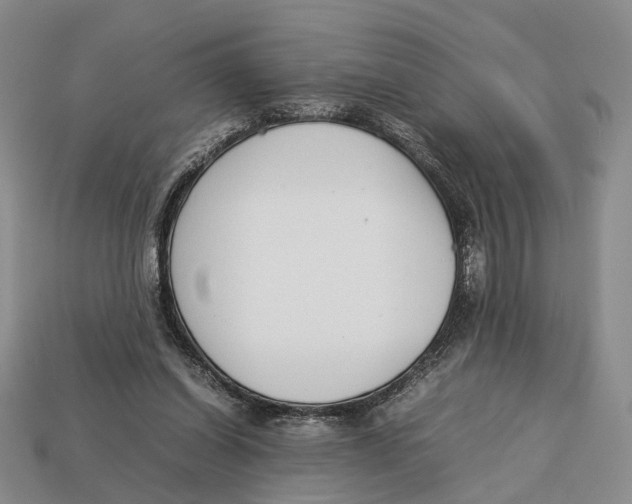 X0000113030254200909241420