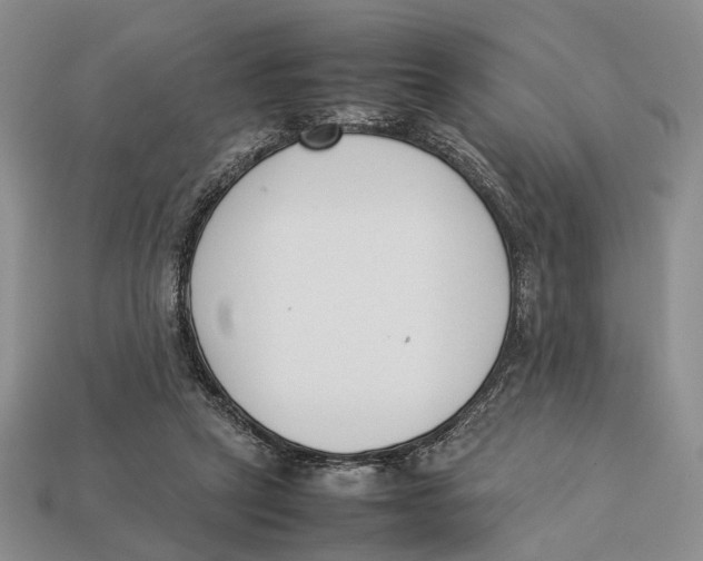 X0000113030257200909241420