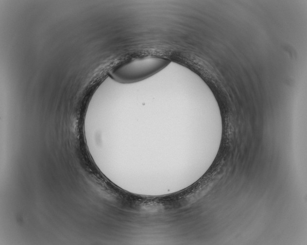 X0000113030258200909241420