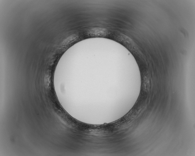 X0000113030259200909241420