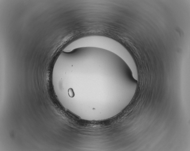 X0000113030260200909241420