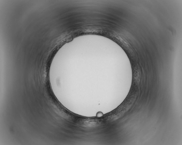 X0000113030261200909241420