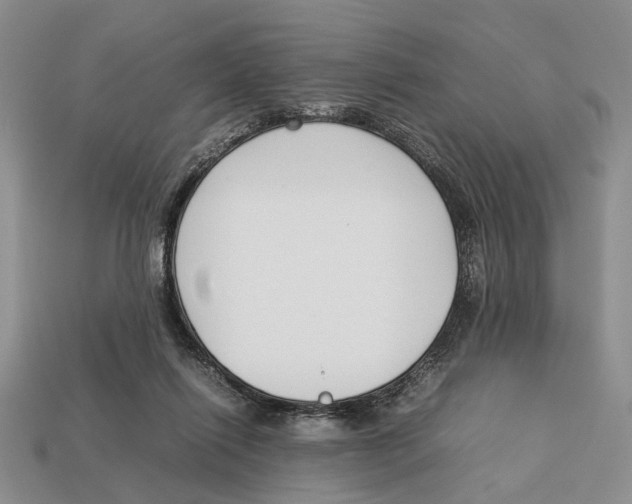 X0000113030262200909241420