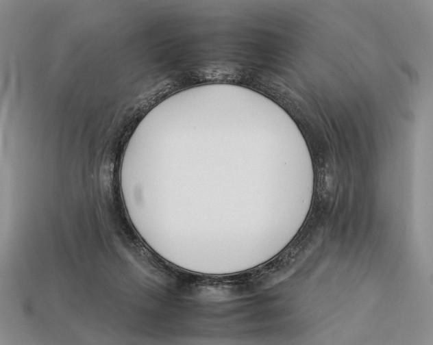 X0000113030263200909241420